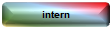 intern